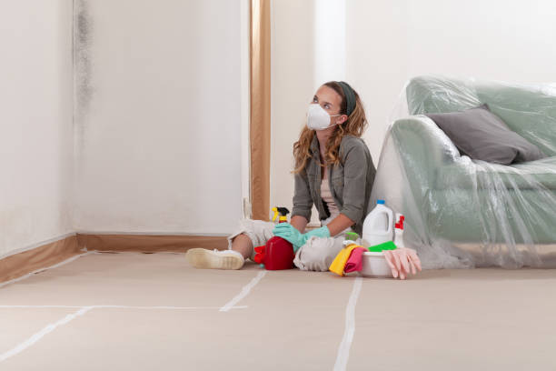 Reliable Commercial Mold Remediation contractor in Mattawan, MI by WQB Mold Removal